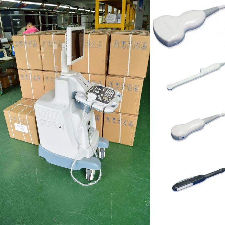 2D B/W Trolley Ultrasound Diagnosis System 2D B/W Trolley Ultrasound Diagnosis System