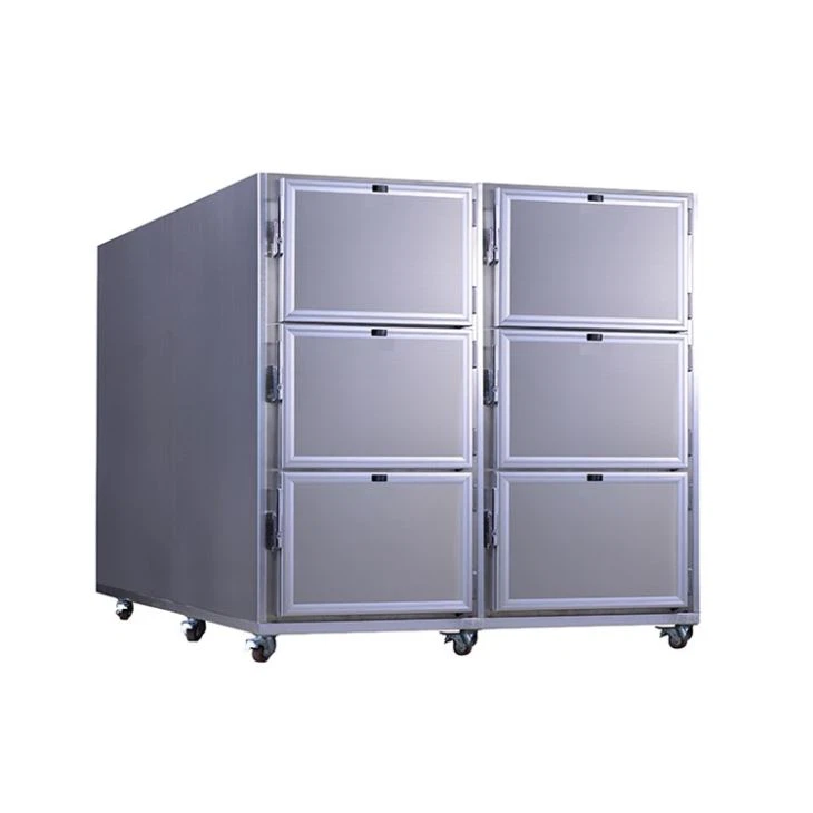 6 Bodies Corpse Morgue Freezer