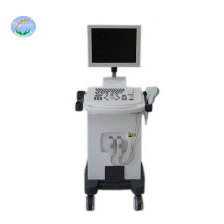 Black And White Full Digital Trolley Ultrasound Scanner Black And White Full Digital Trolley Ultrasound Scanner