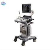 Ультразвуковая диагностическая система 4D Color Doppler